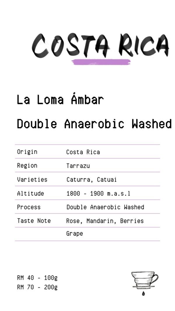 Costa Rica - La Loma Ambar Double Anaerobic Washed