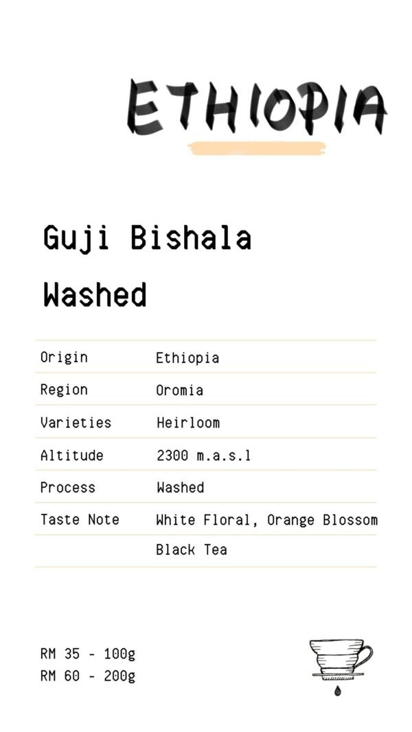 Ethiopia - Guji Bishala Washed