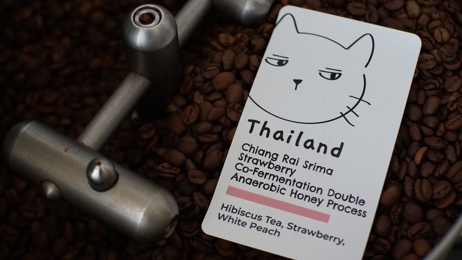 Thailand Chiang Rai Srima Strawberry