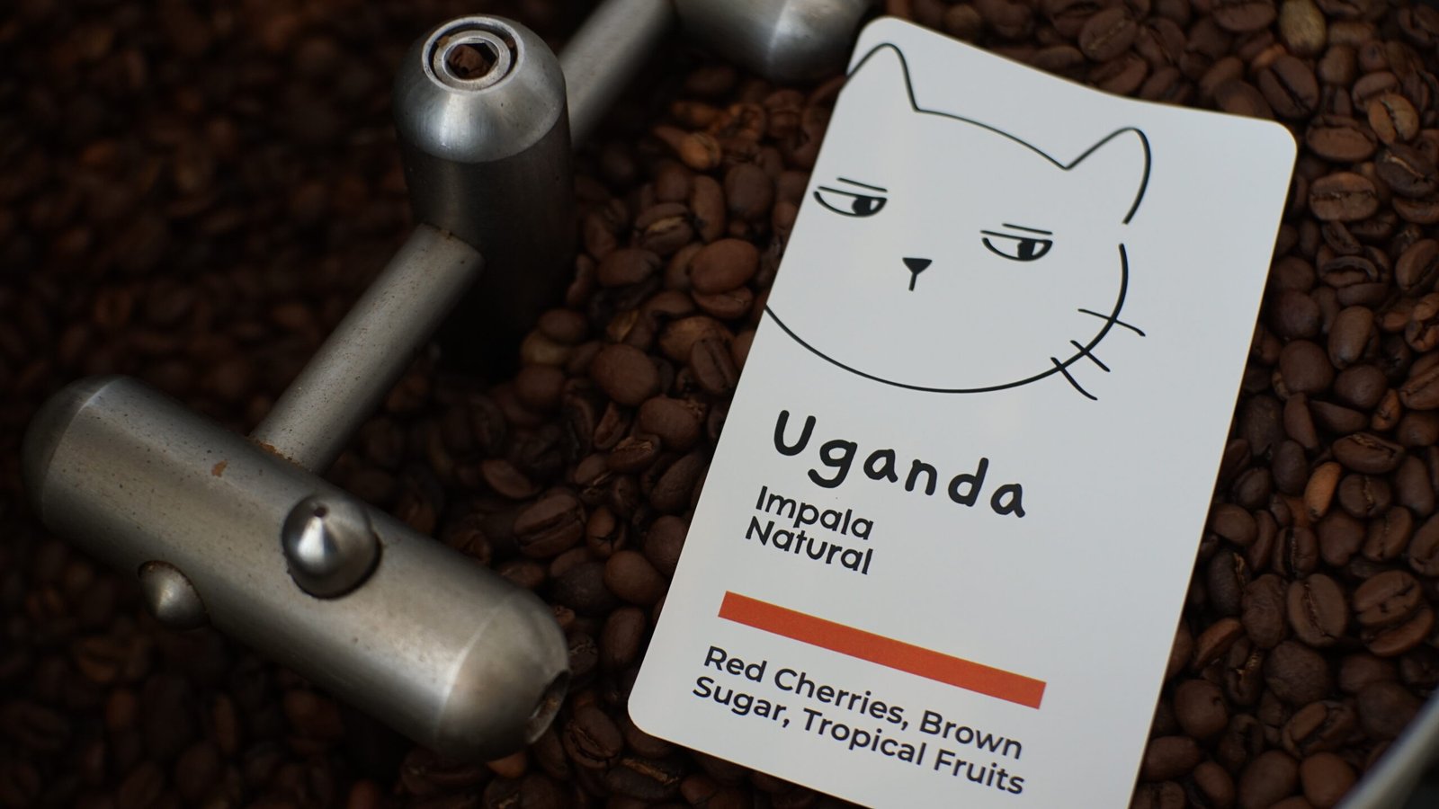 Uganda Impala Natural