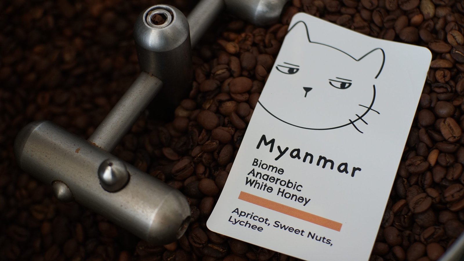 Myanmar Biome Anaerobic White Honey