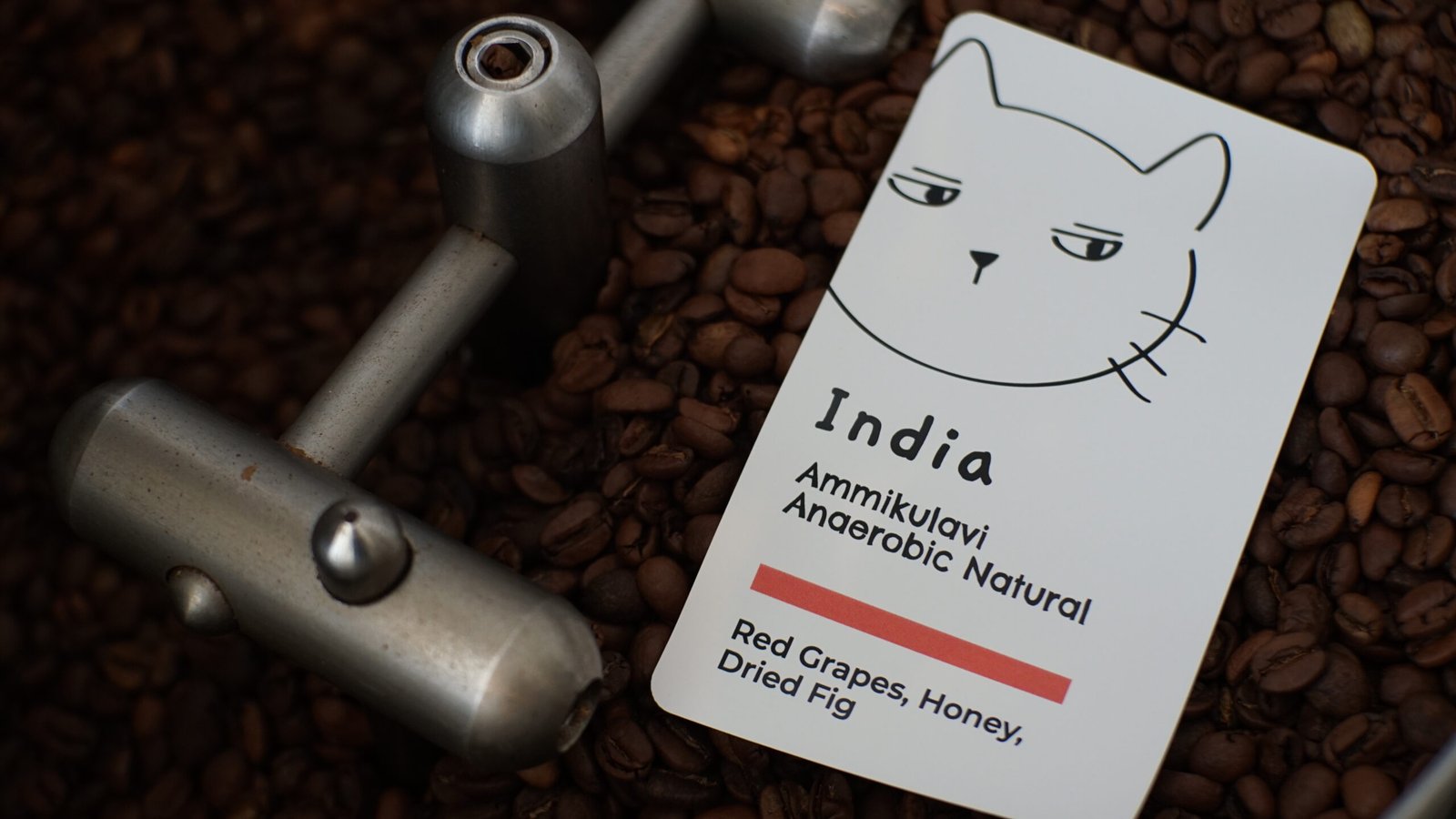 India Ammikulavi Anaerobic Natural