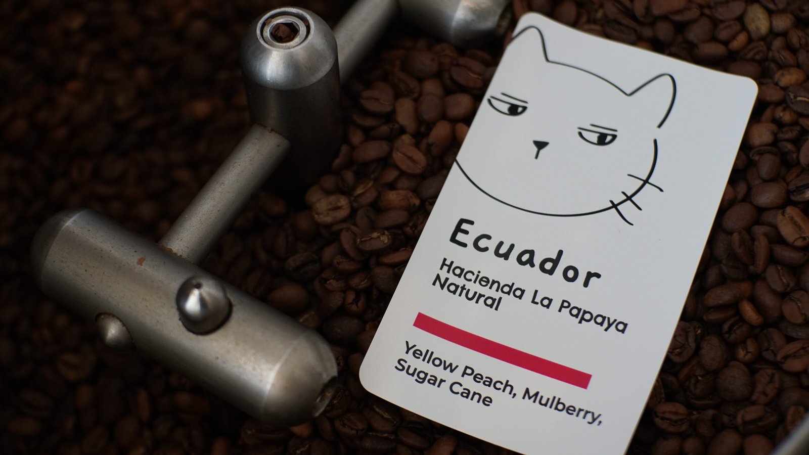 Ecuador Hacienda La Papaya Natural