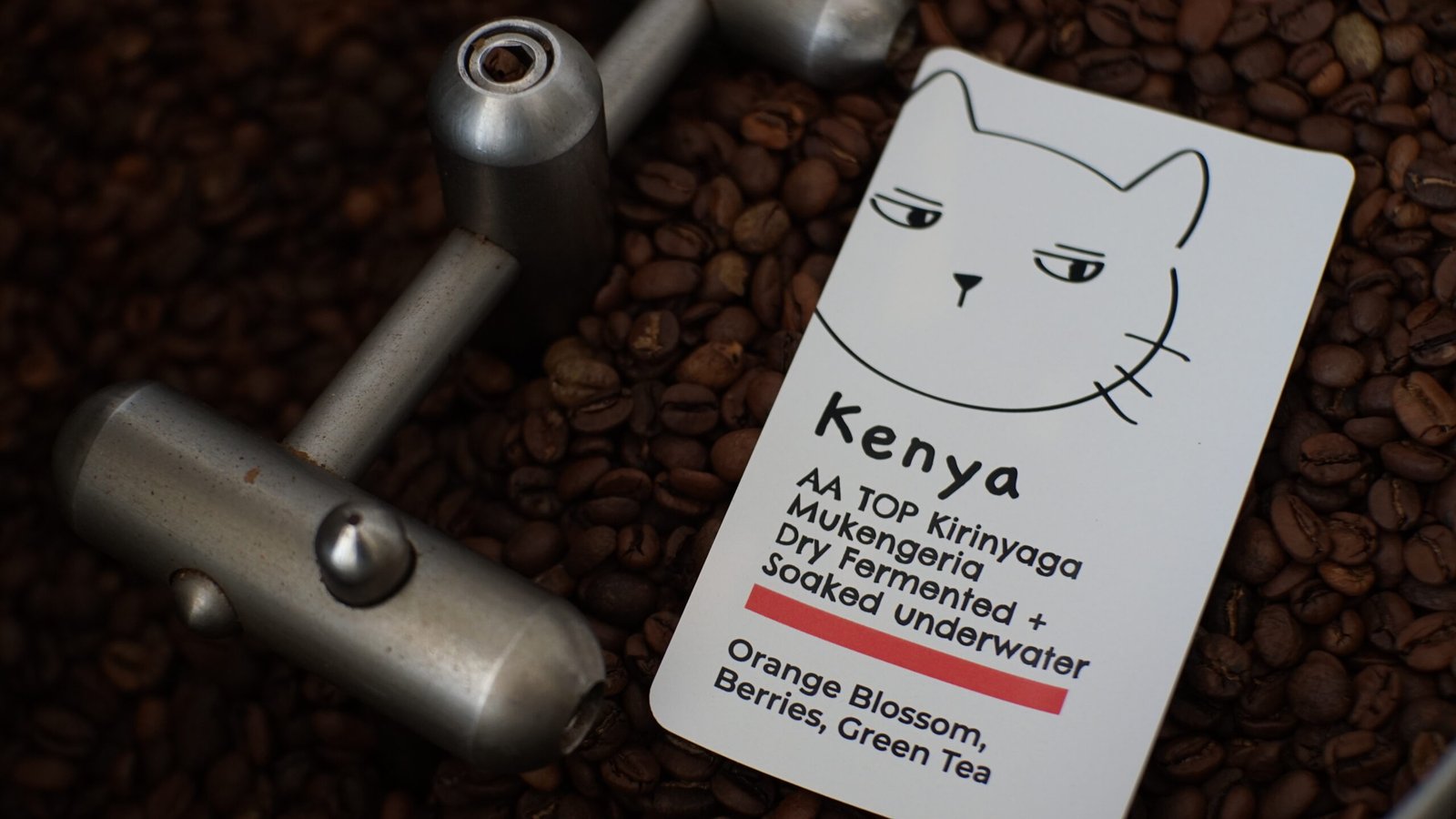 Kenya AA TOP Kirinyaga Mukengeria