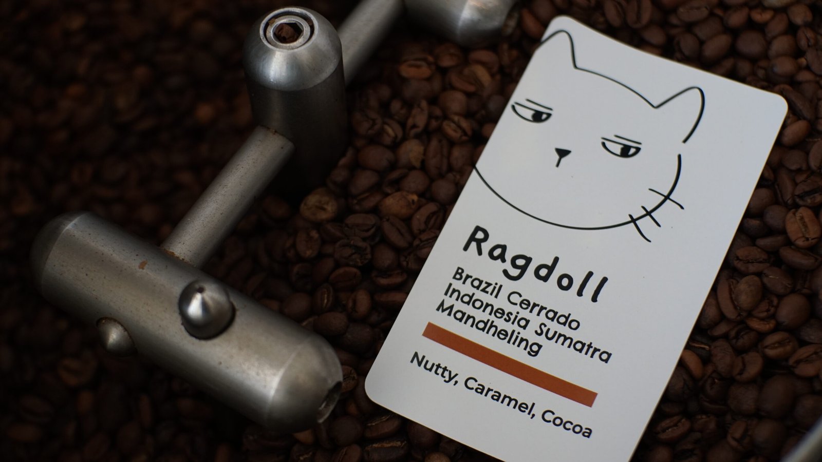 ODK Ragdoll Blend 500g