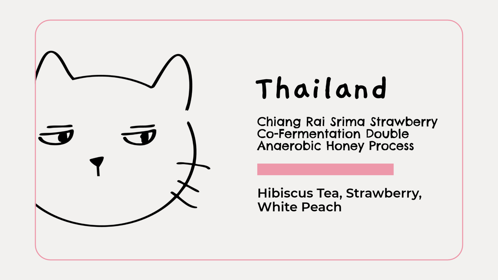Thailand Chiang Rai Srima Strawberry
